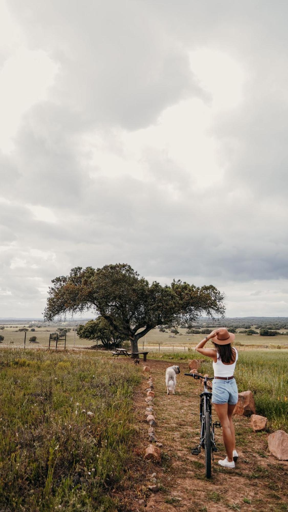 Montimerso Skyscape Countryhouse Monsaraz Dış mekan fotoğraf