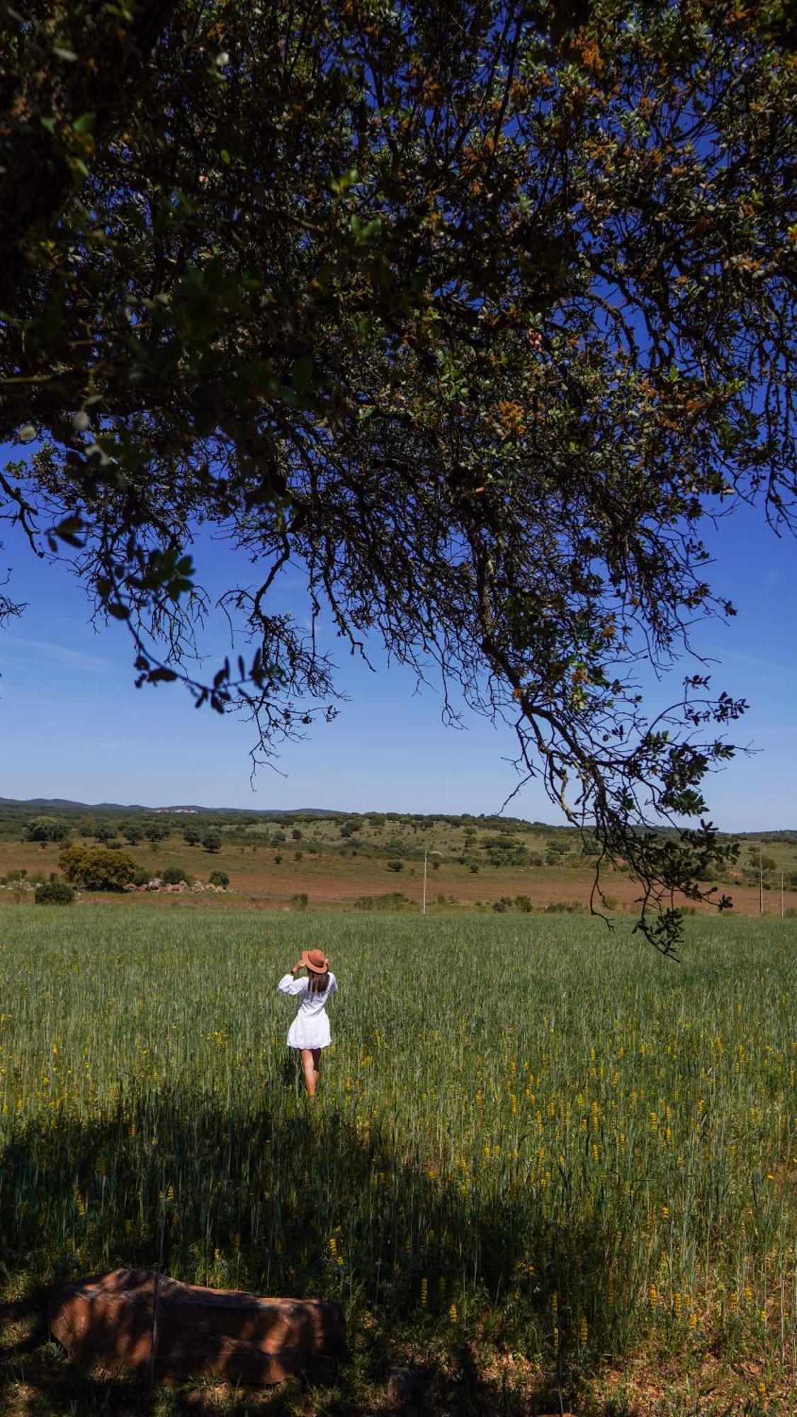 Montimerso Skyscape Countryhouse Monsaraz Dış mekan fotoğraf