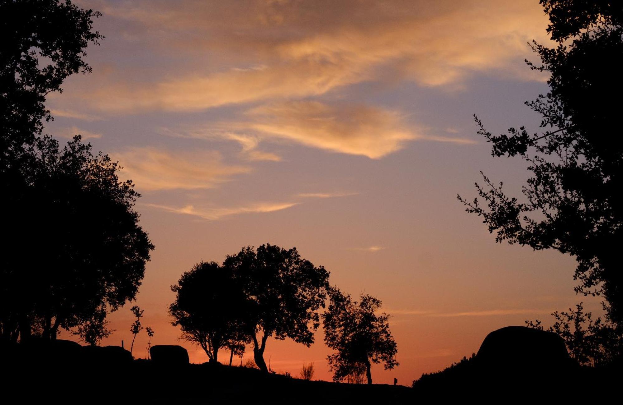 Montimerso Skyscape Countryhouse Monsaraz Dış mekan fotoğraf