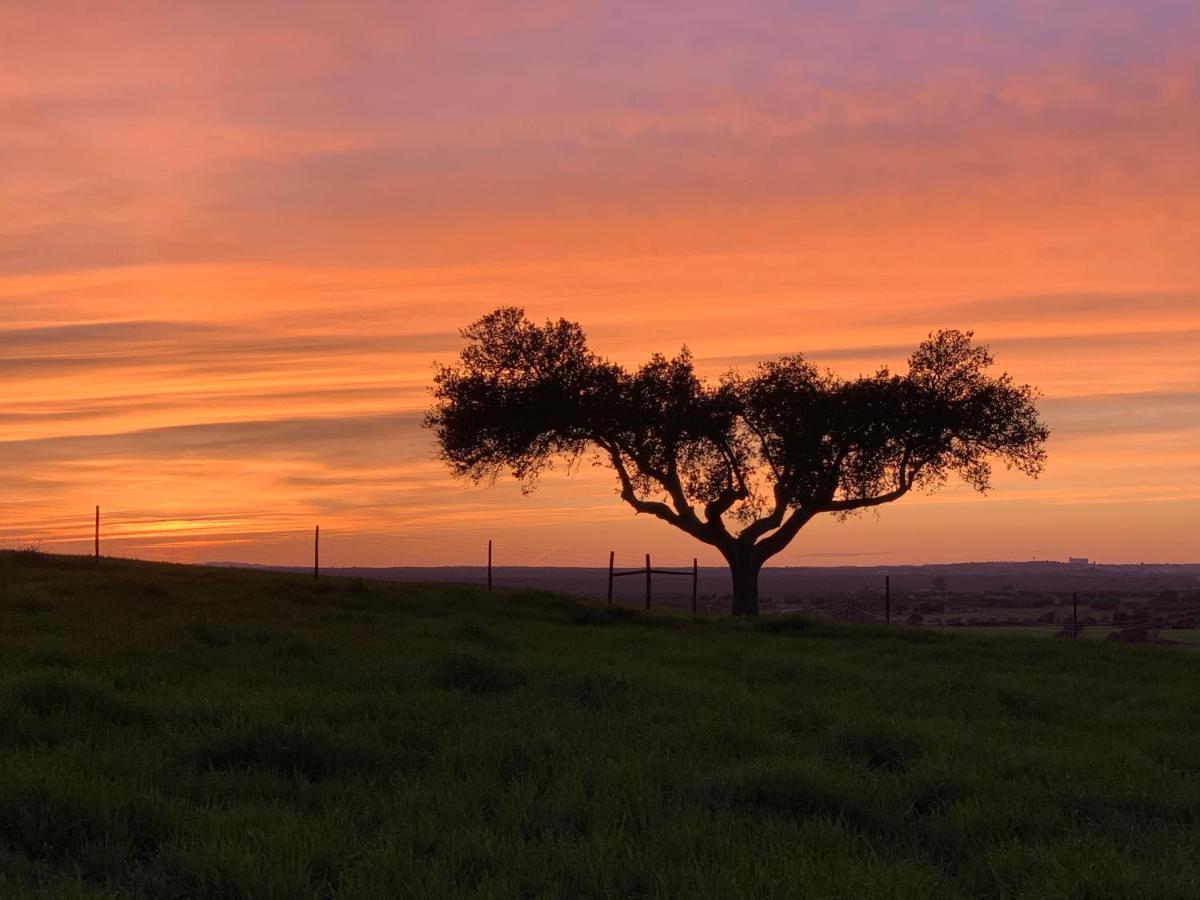 Montimerso Skyscape Countryhouse Monsaraz Dış mekan fotoğraf
